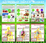 Безопасность здоровья; ЗОЖ